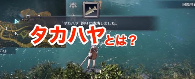 【黒い砂漠モバイル】タカハヤが釣れるエリアや場所一覧！